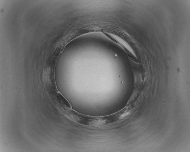 X0000071810217200607141618