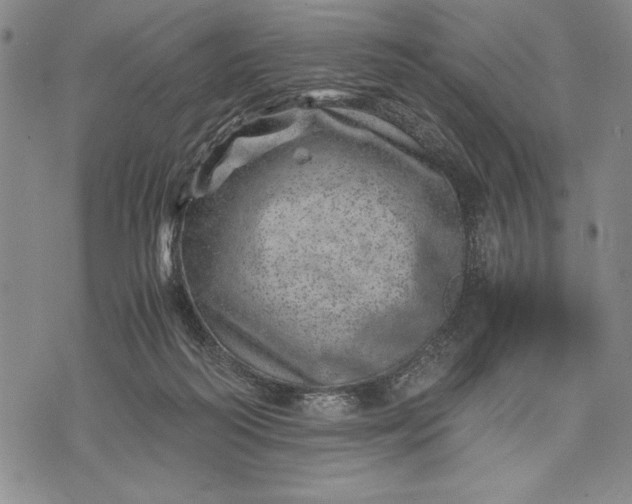 X0000071810218200607141618