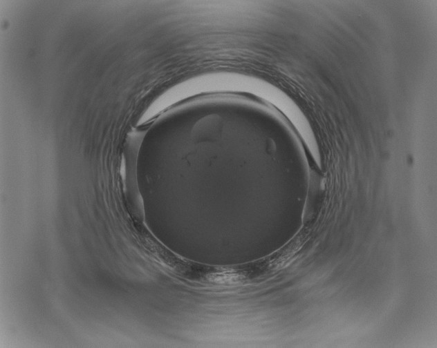 X0000071810219200607141618