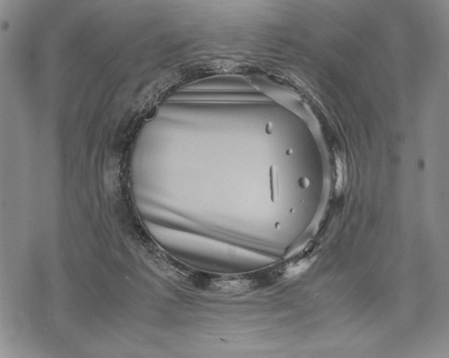 X0000071810221200607141618