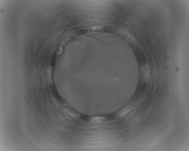 X0000071810222200607141618