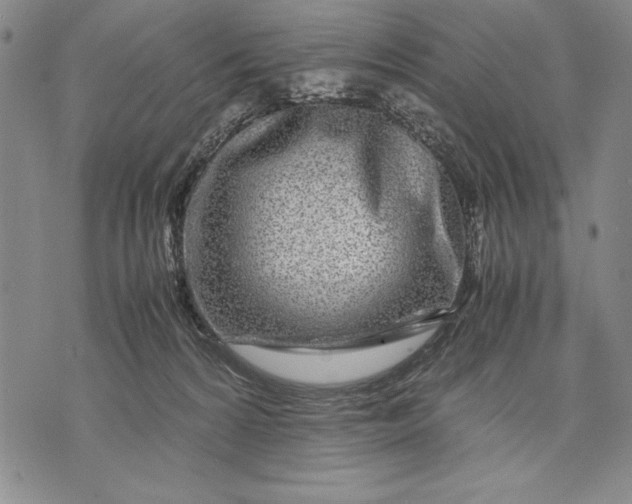 X0000071810224200607141618