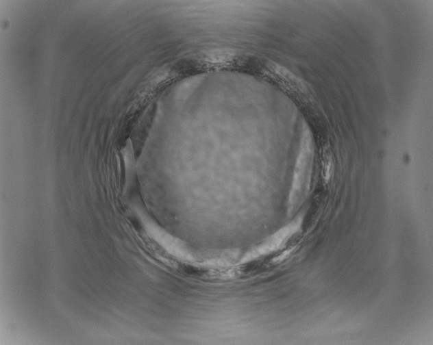 X0000071810225200607141618