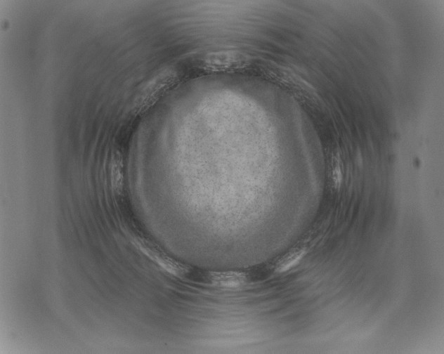 X0000071810226200607141618