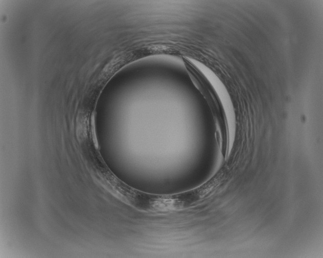 X0000071810227200607141618