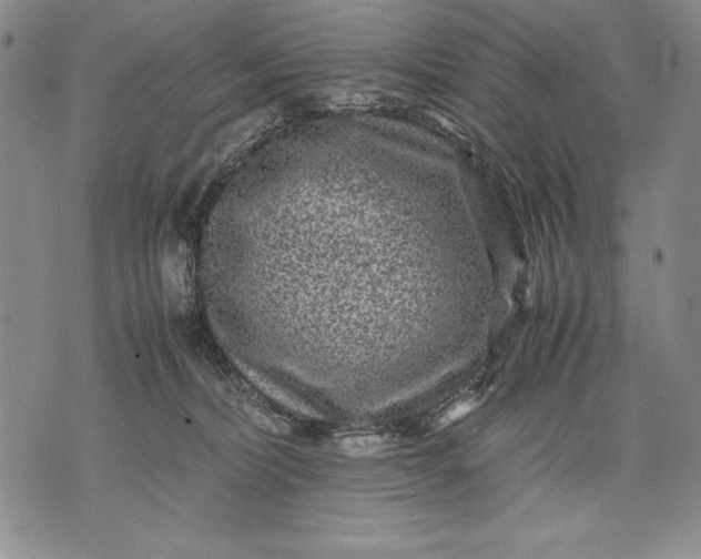 X0000071810228200607141618