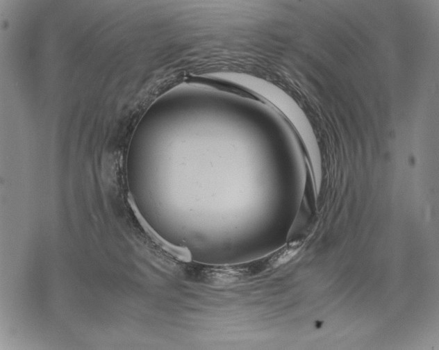 X0000071810229200607141618