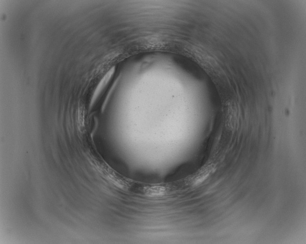 X0000071810230200607141618