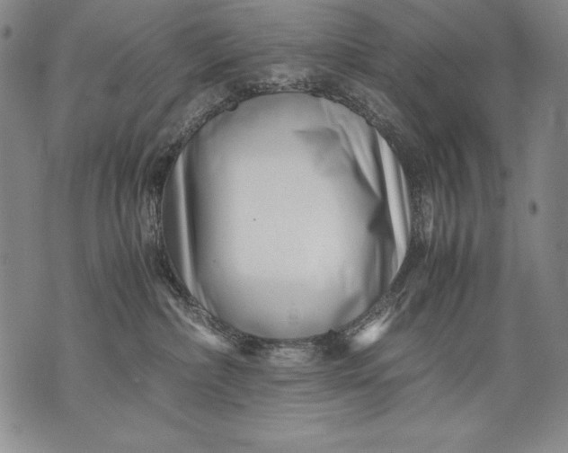 X0000071810236200607141618