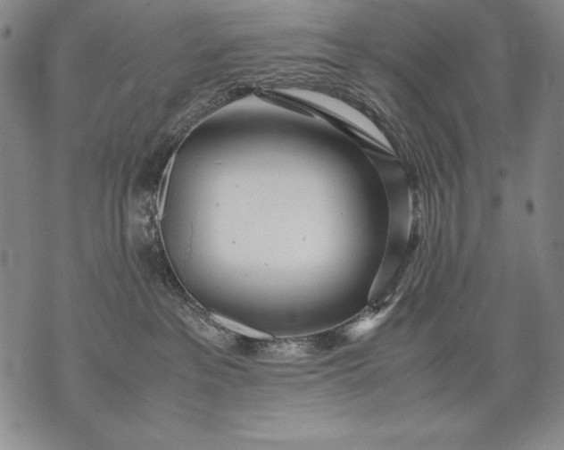X0000071810237200607141618