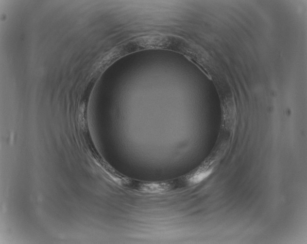 X0000071810239200607141618