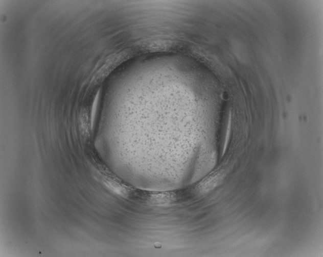 X0000071810240200607141618