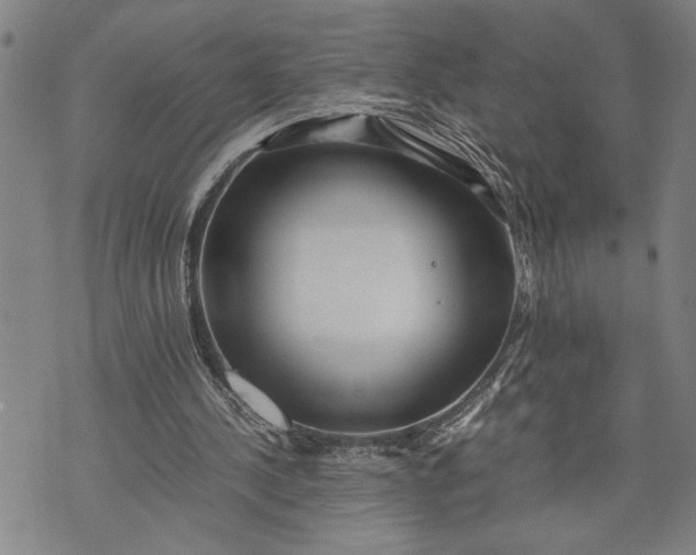 X0000071810244200607141617