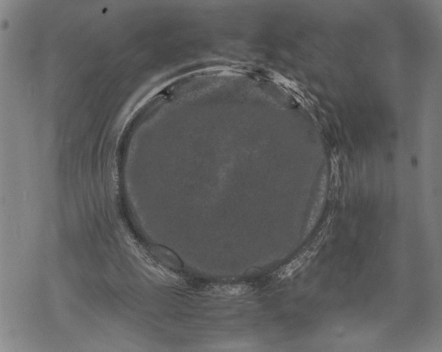 X0000071810247200607141617