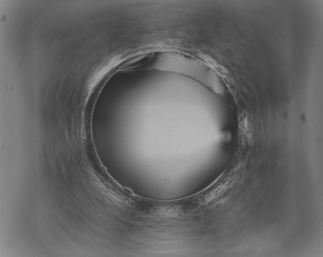 X0000071810248200607141617