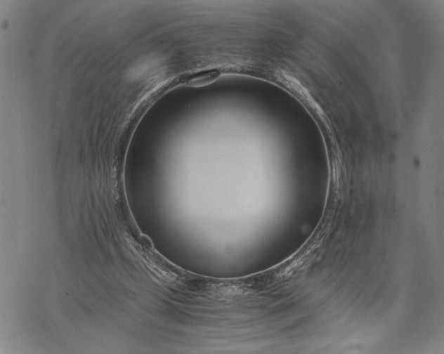 X0000071810249200607141617