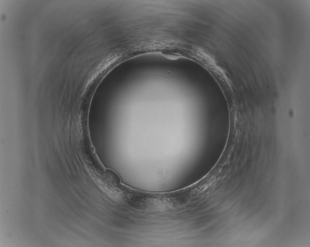 X0000071810250200607141617