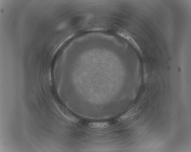 X0000071810251200607141617