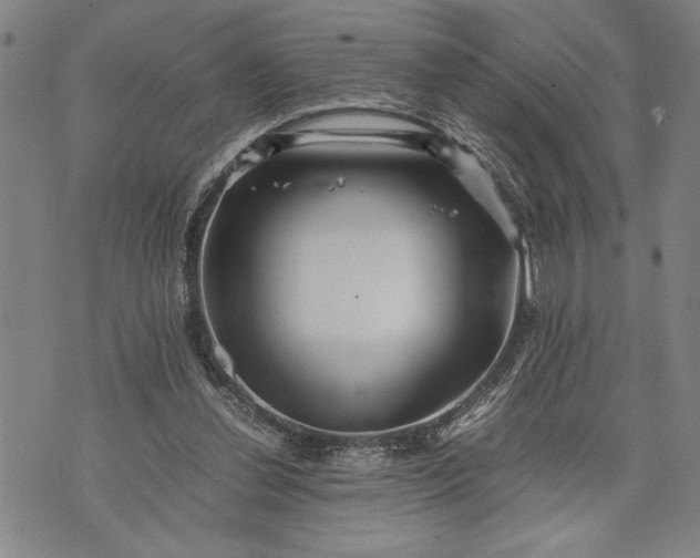 X0000071810252200607141617