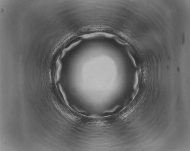 X0000071810254200607141617