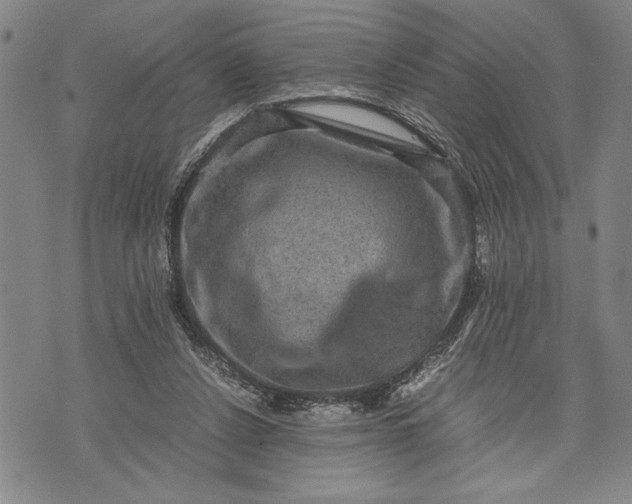 X0000071810256200607141617