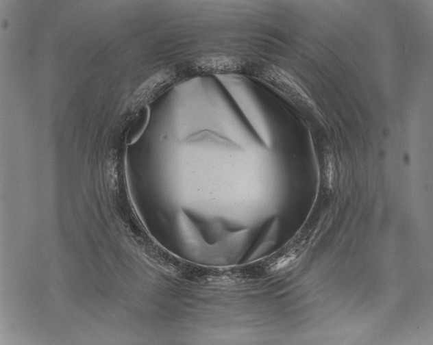 X0000071810259200607141617