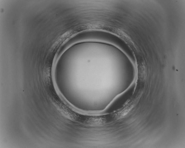 X0000071810260200607141617