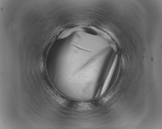 X0000071810261200607141617