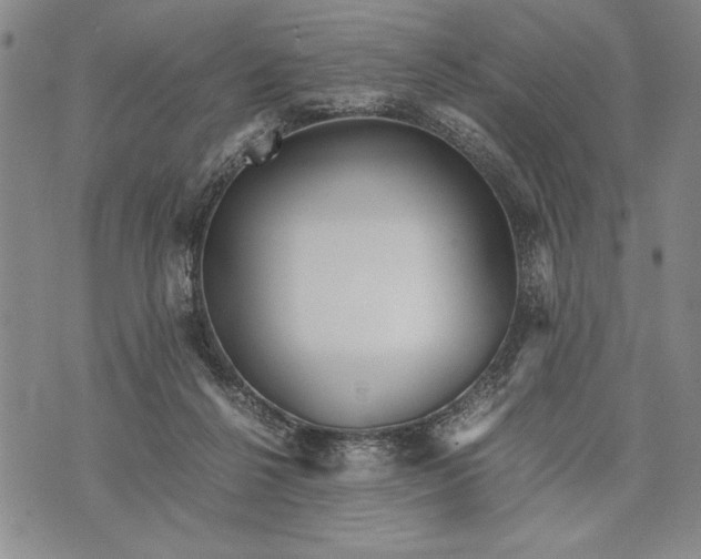 X0000071810264200607141618