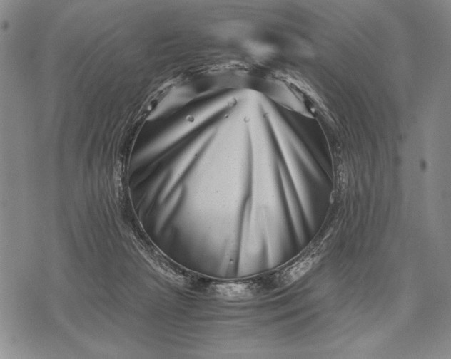 X0000071810265200607141618