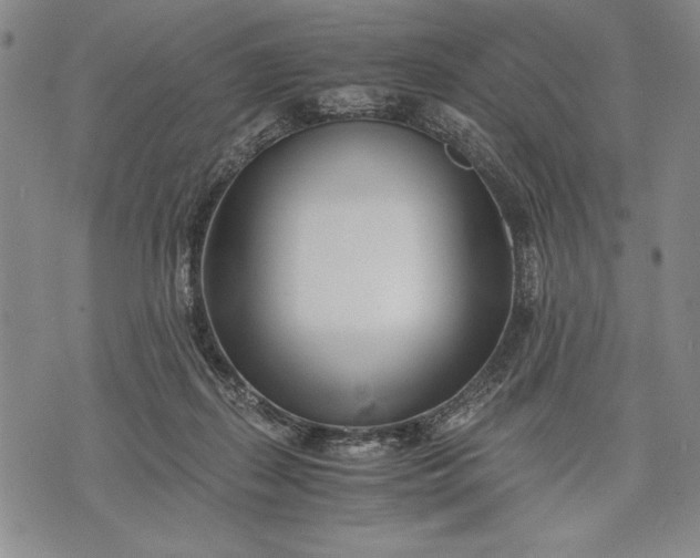 X0000071810267200607141618