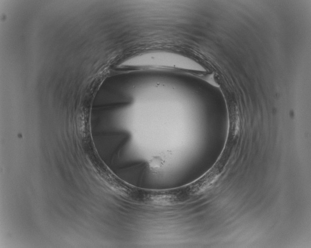 X0000071810268200607141618