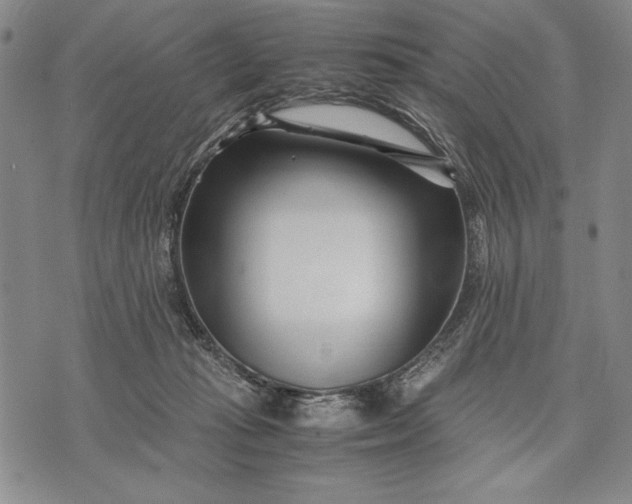 X0000071810269200607141618