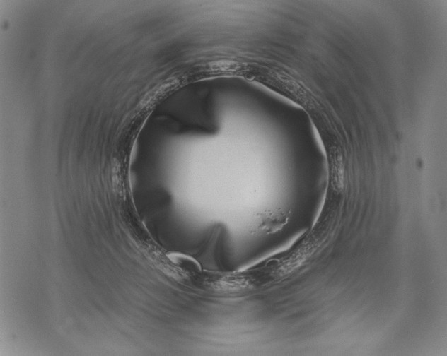 X0000071810270200607141618