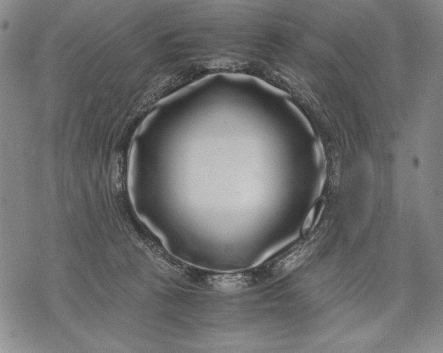 X0000071810273200607141618