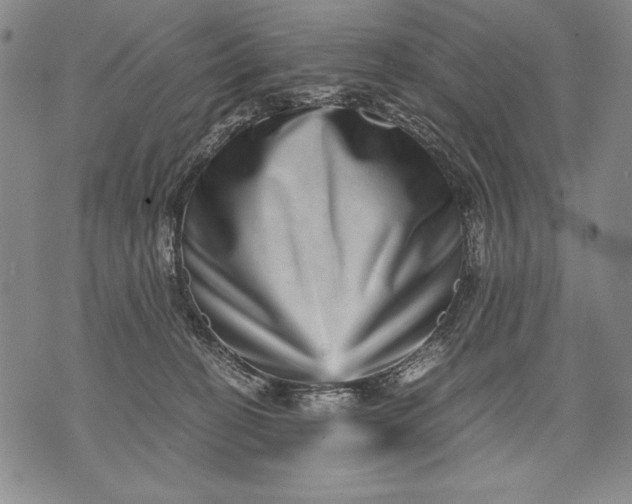 X0000071810274200607141618