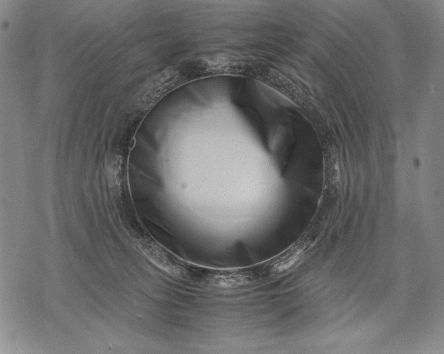 X0000071810275200607141618