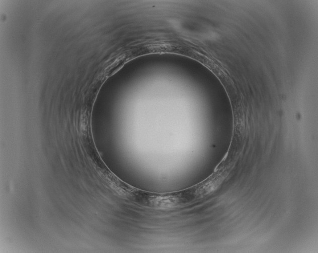 X0000071810277200607141618