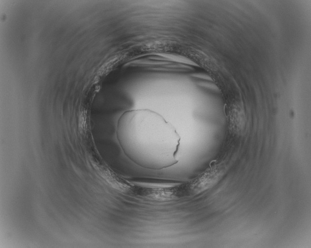 X0000071810278200607141618