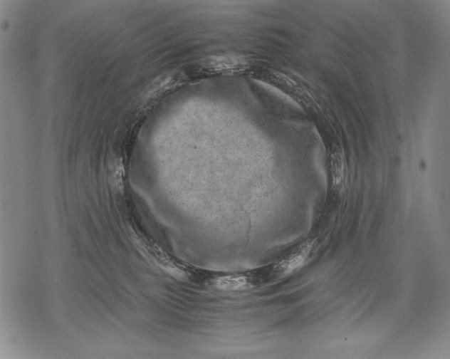 X0000071810279200607141618