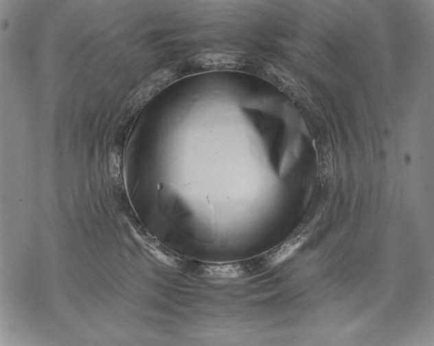 X0000071810281200607141618