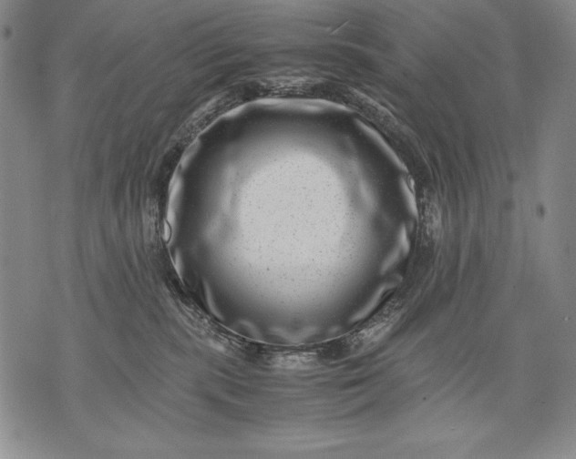 X0000071810283200607141618