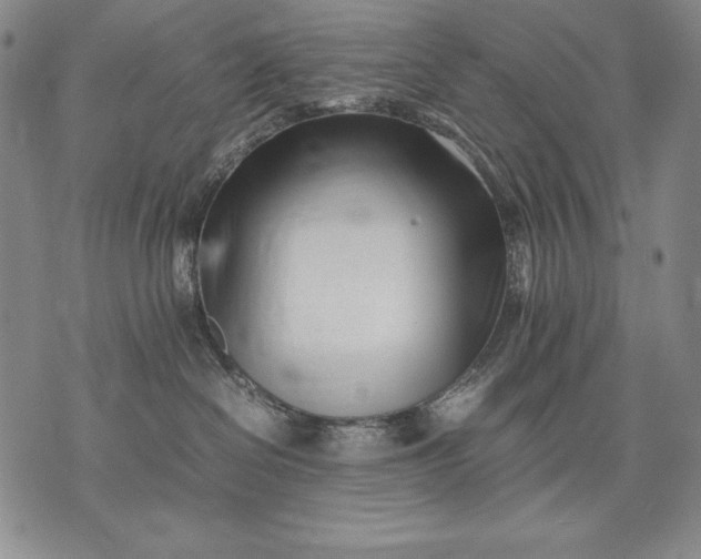 X0000071810286200607141618