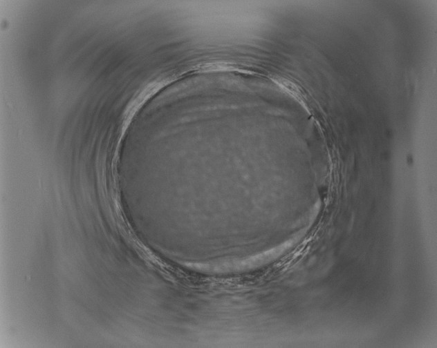 X0000071810289200607141617