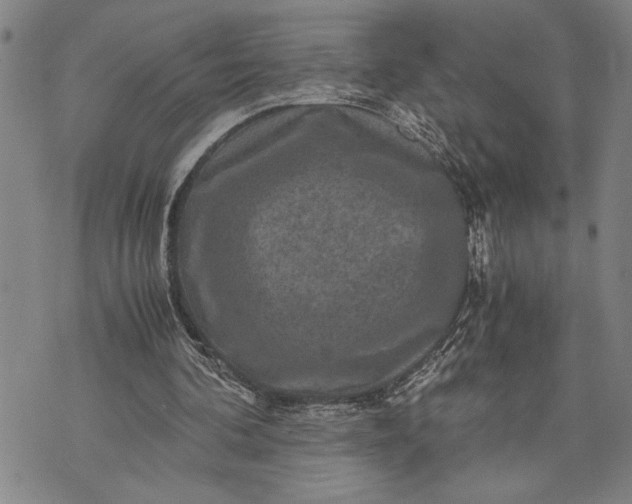 X0000071810292200607141617