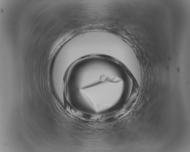 X0000071810293200607141617