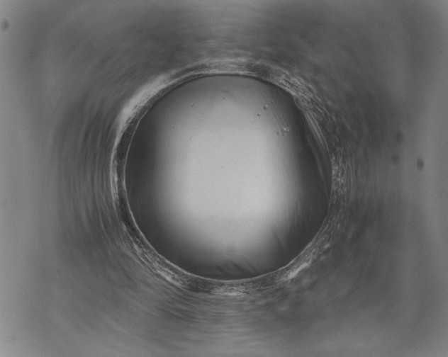 X0000071810294200607141617