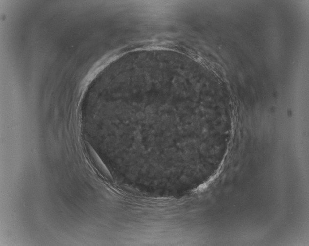 X0000071810295200607141617