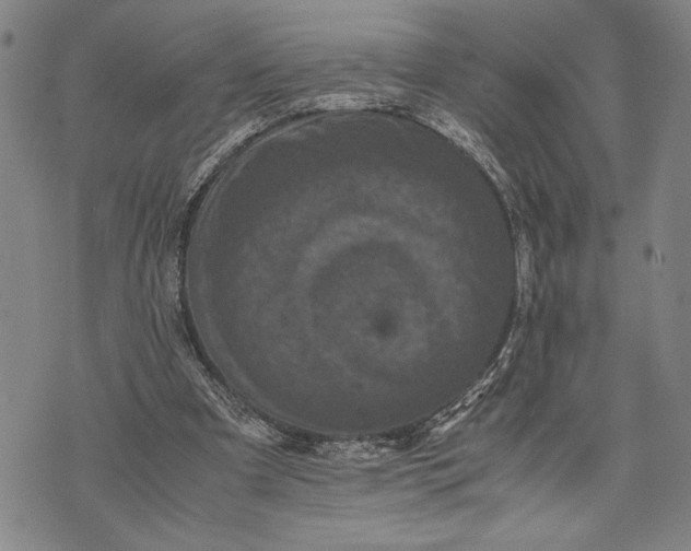 X0000071810297200607141617