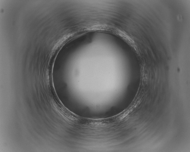 X0000071810298200607141617